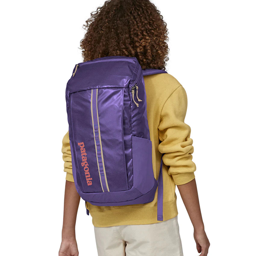blue and purple patagonia backpack Amazon.com: Unisex Refugio Day Pack 30L Backpack, Solstice Purple, One Size, Classic : Clothing, Shoes & Jewelry Patagonia Ultralight Patagonia Backpack Lightweight