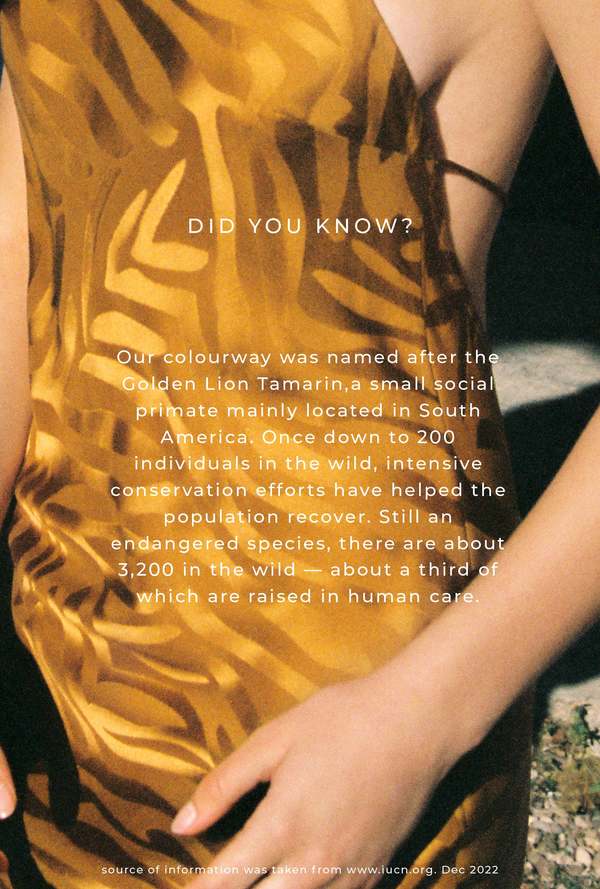 silk laundry gold dress Larissa wears the Stella dress in new season hue Dandelion. #silklaundry