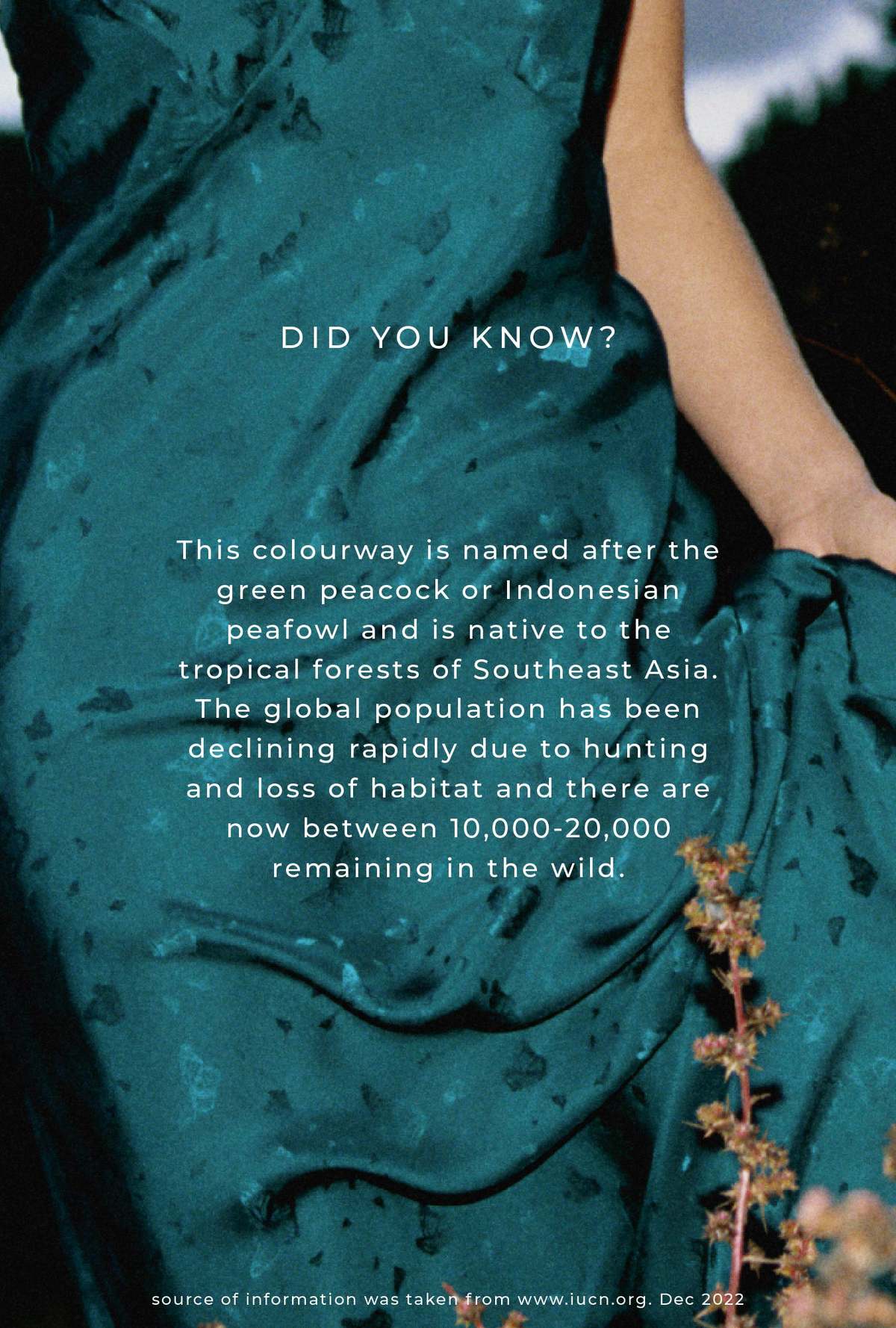 Silk Laundry Long Bias Cut Skirt - Peacock | Garmentory