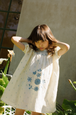 Apolina Cece Dress Folk Calico | Garmentory