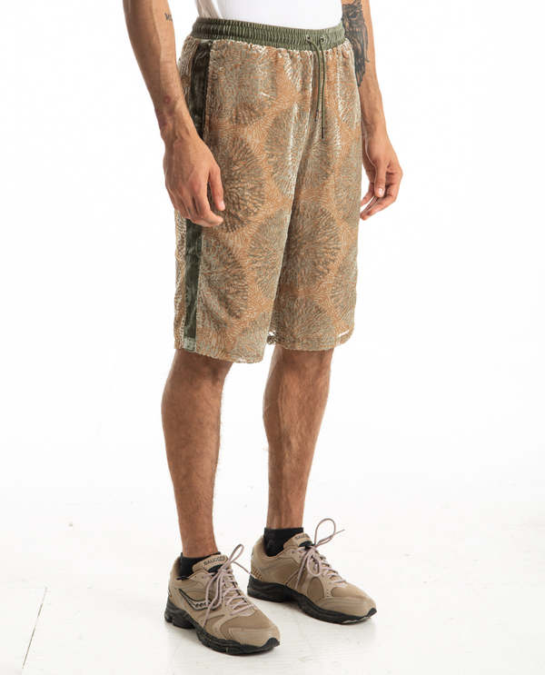 Daily Paper Paxshort - GREEN 