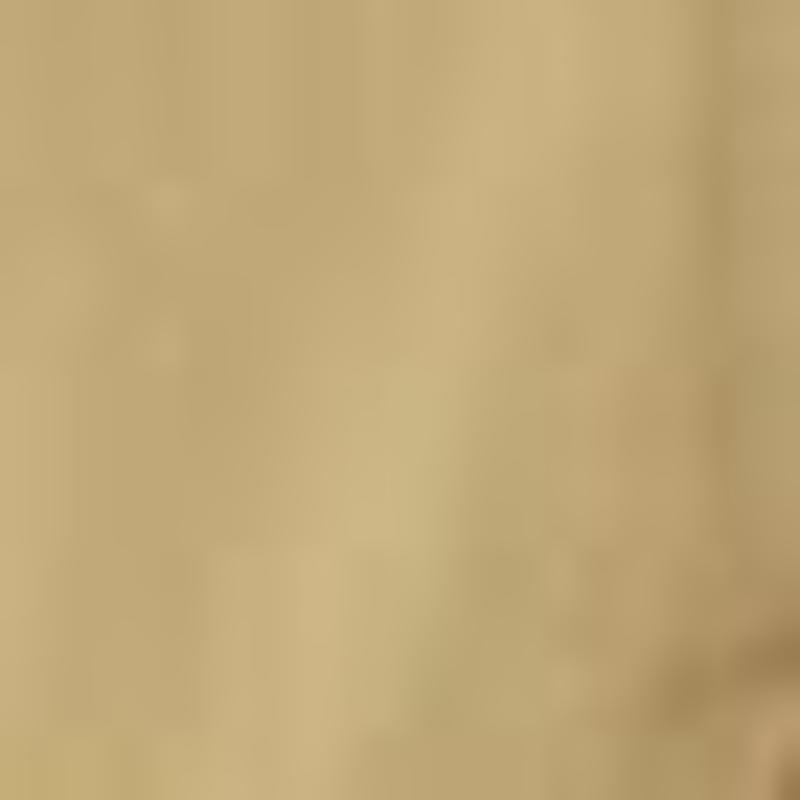 Lacausa Uniform Trouser