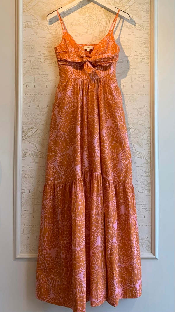 alc laura maxi dress A.L.C. Laura Printed Maxi Dress
