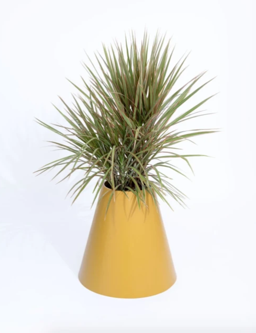 PIECES by An Aesthetic Pursuit Cone Planter Mustard Garmentory