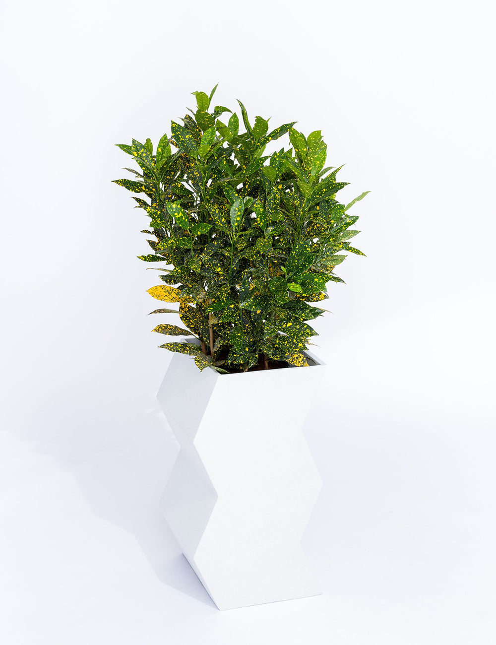 PIECES by An Aesthetic Pursuit Zig Zag Planter White Garmentory