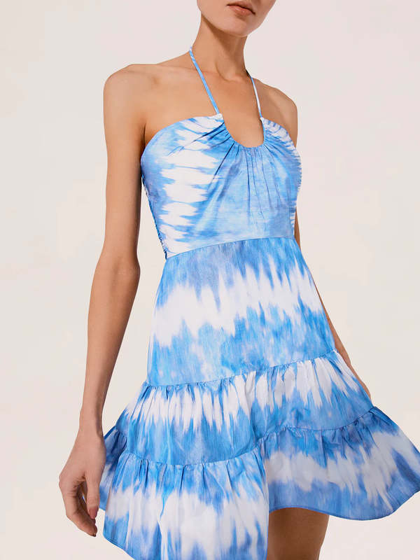 Alexis Naim Dress