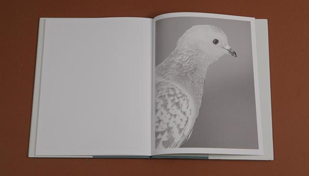 Mårten Lange Citizen Marten Lange - Citizen – Perimeter Books