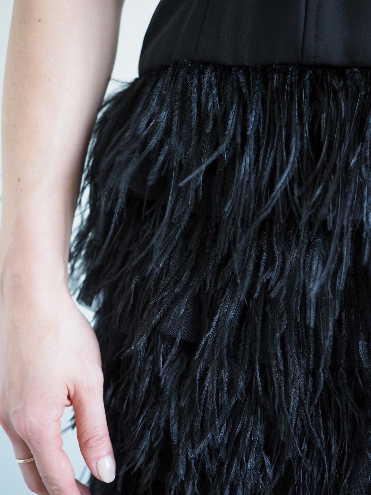bcbg black feather dress Oscar de La Renta Feather Embroidered Dress main image 1