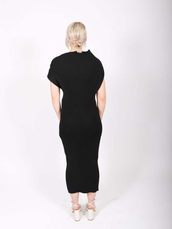 Issey Miyake Nude Dress Black
