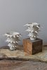 OWO Ceramics Spikes White Ceramic Flower Vase V - Thumbnail 1