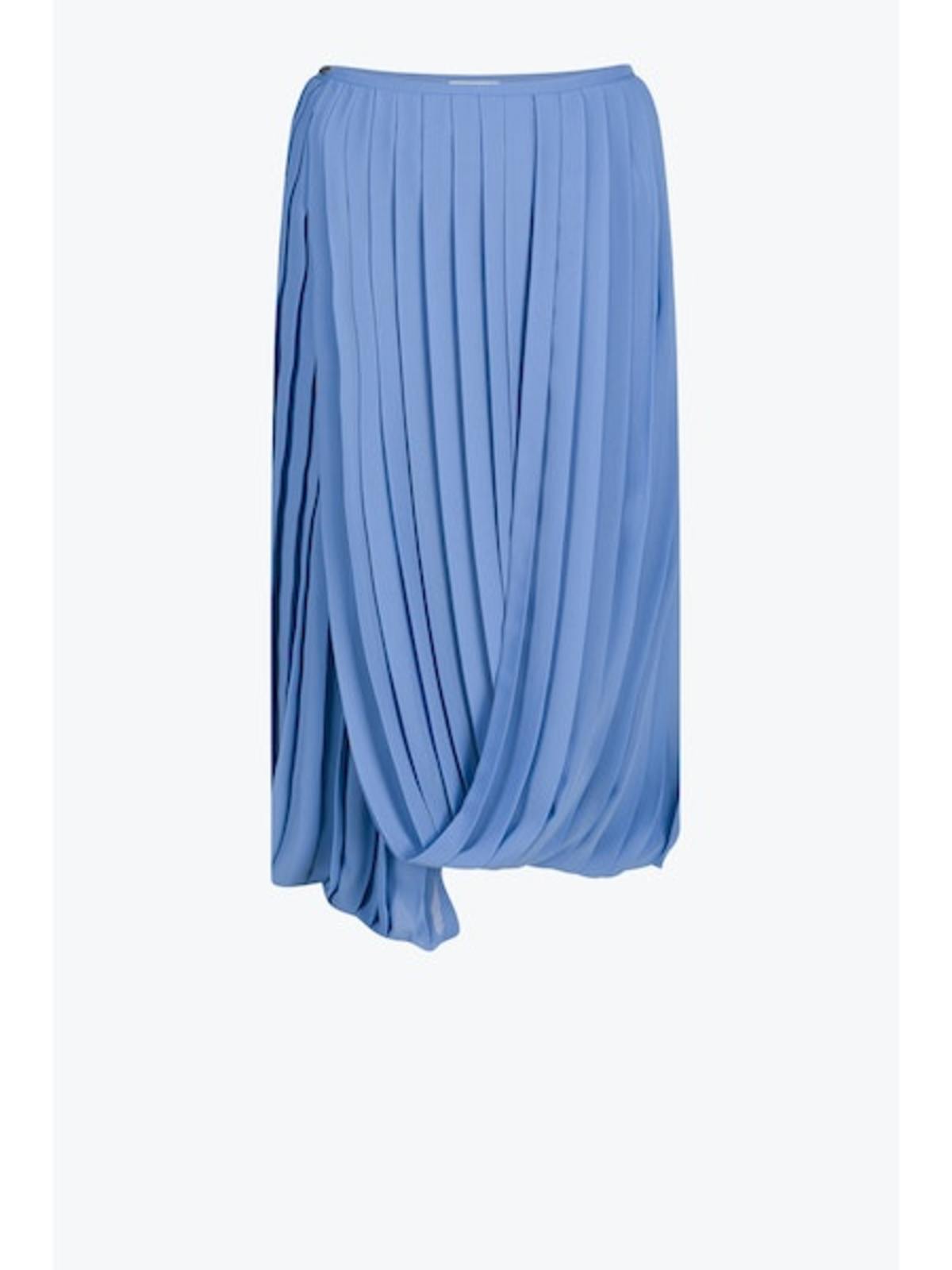 スカート Dries Van Noten White striped blue cotton midi skirt Striped cotton poplin midi skirt in white - Dries Van Noten