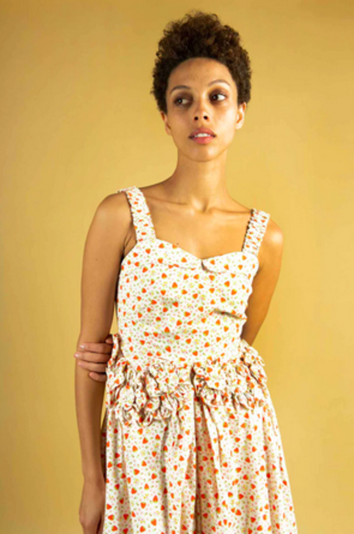 BATSHEVA Sleeveless Farley Dress Ditsy Strawberry Floral Garmentory