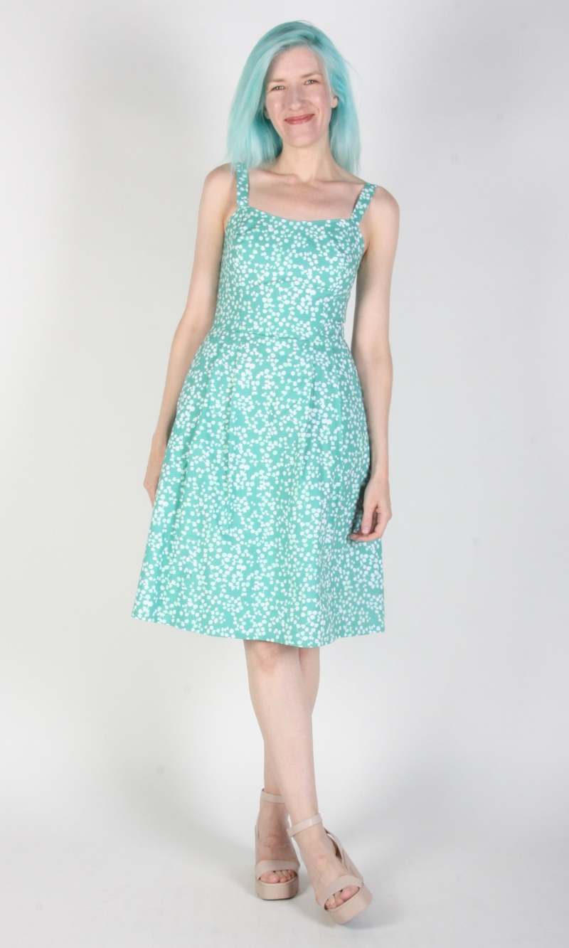 Birds of North America Bee Martin Dress - Tendril Traces