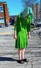 Birds of North America Palmcreeper Dress - Lime - Thumbnail 4