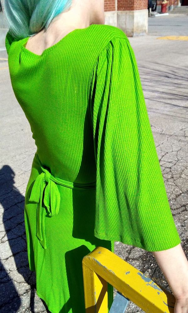 Birds of North America Palmcreeper Dress - Lime