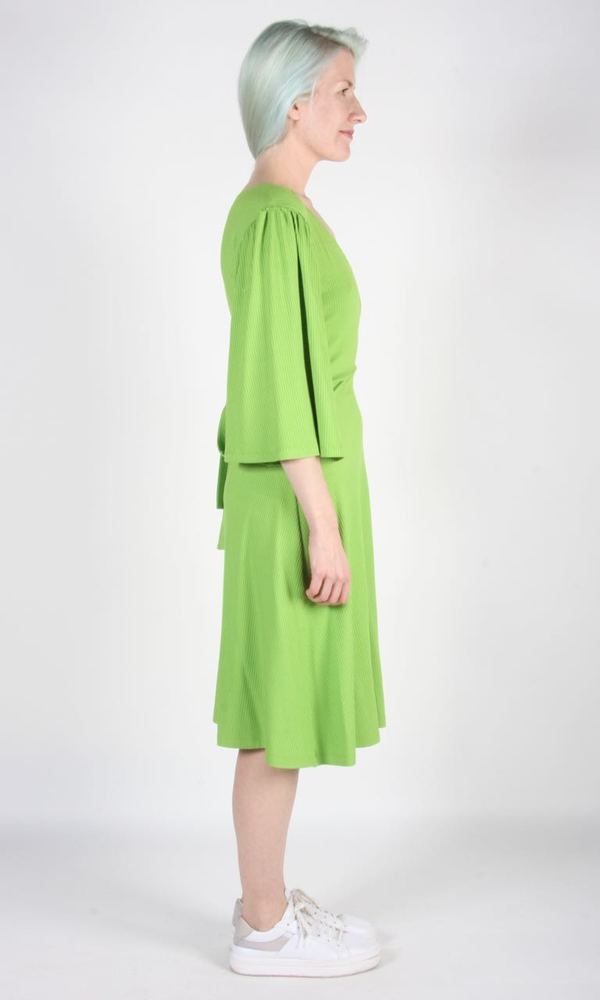 Birds of North America Palmcreeper Dress - Lime
