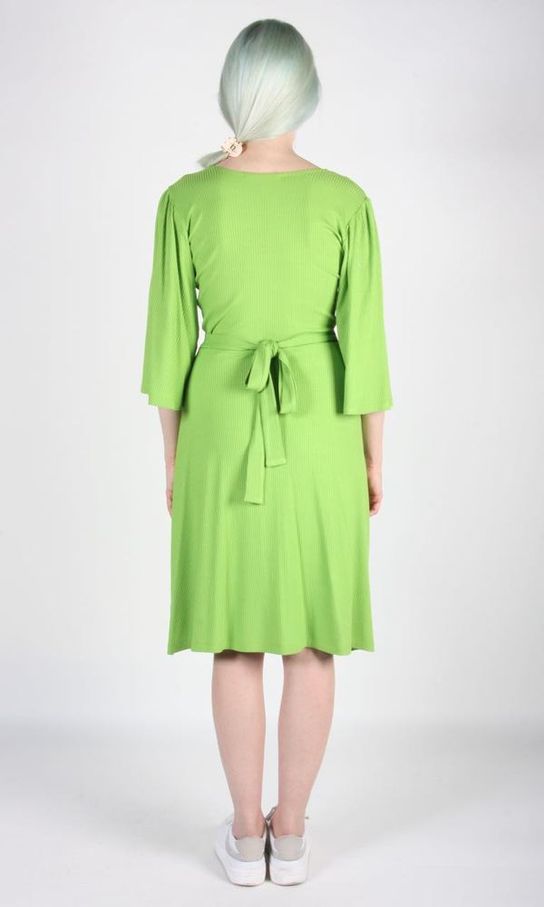 Birds of North America Palmcreeper Dress - Lime