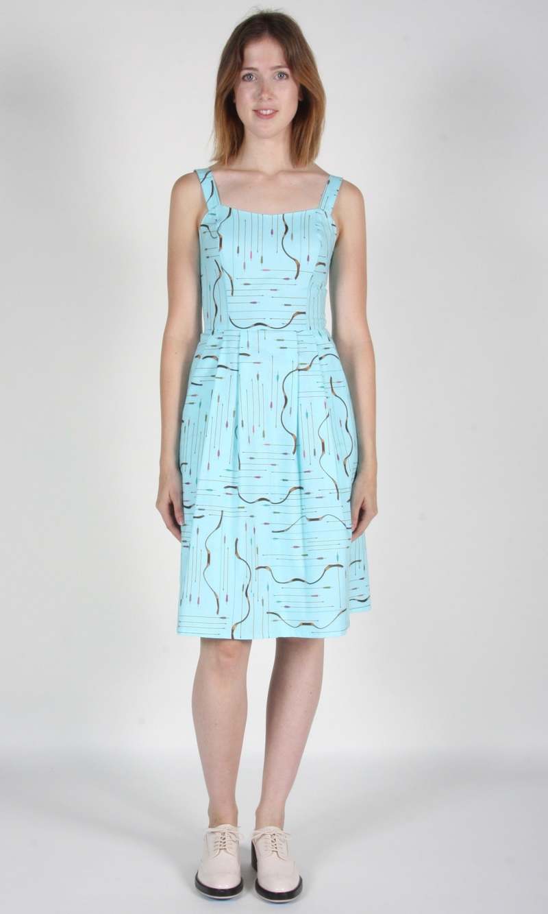 Birds of North America Purpletuft Dress - Blue Archery