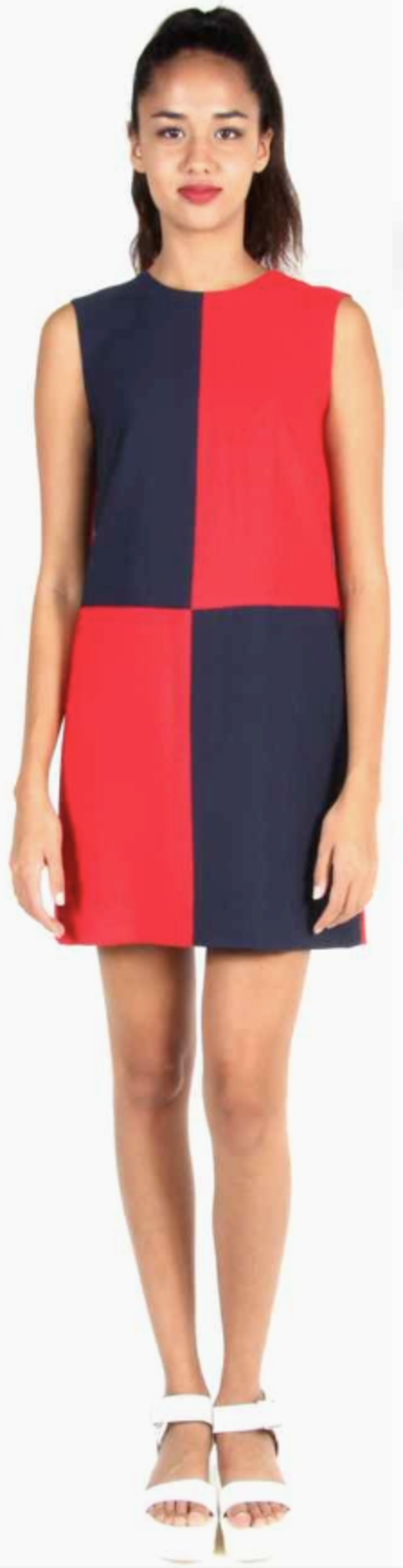 Birds of North America  RN - 8 - Vanga Dress - Multi