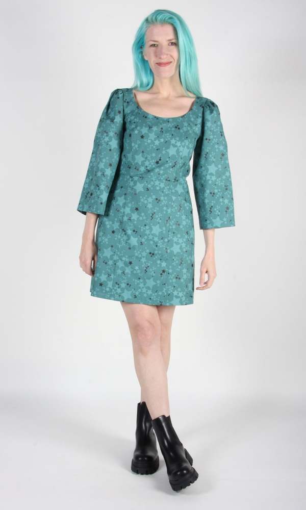 Birds of North America Tourterelle Dress - Stardust