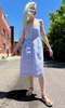 Birds of North America Vesper Sparrow Dress - Royal Stripe - Thumbnail 1