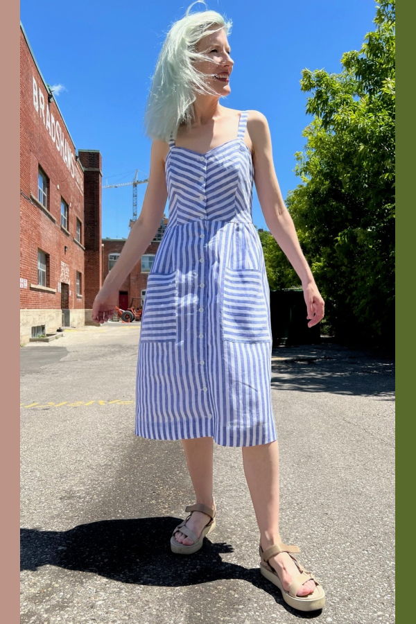 Birds of North America Vesper Sparrow Dress - Royal Stripe