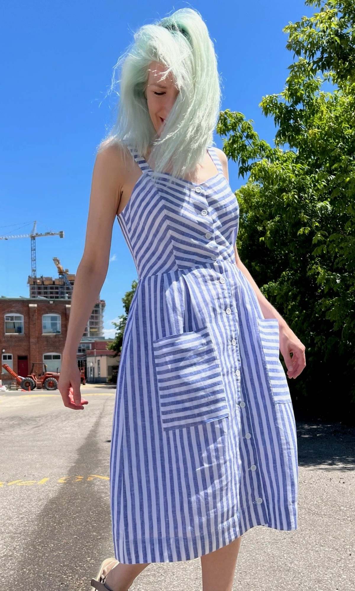 Birds of North America Vesper Sparrow Dress - Royal Stripe - Image 3 of 9