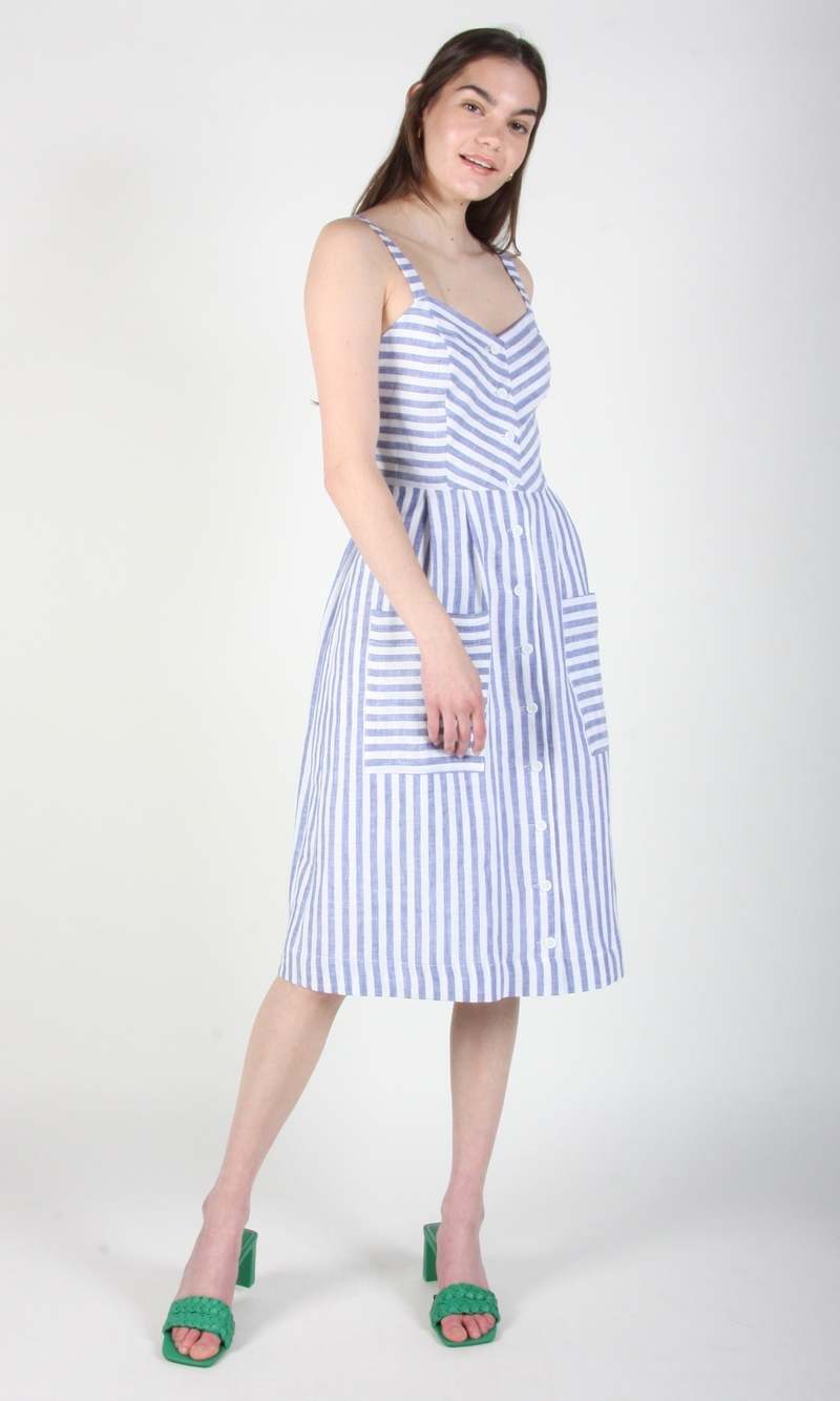 Birds of North America Vesper Sparrow Dress - Royal Stripe