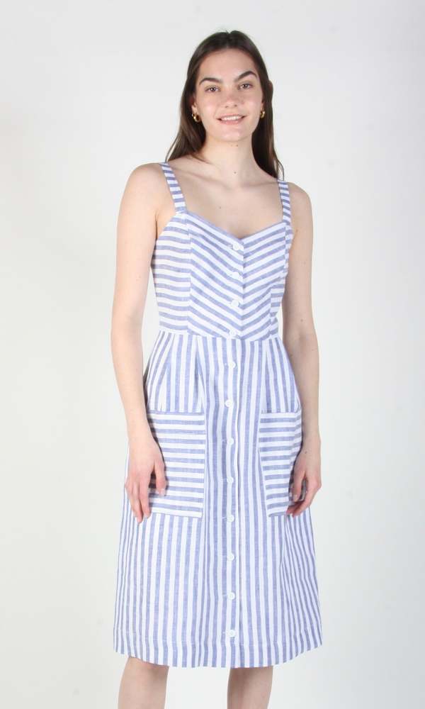 Birds of North America Vesper Sparrow Dress - Royal Stripe