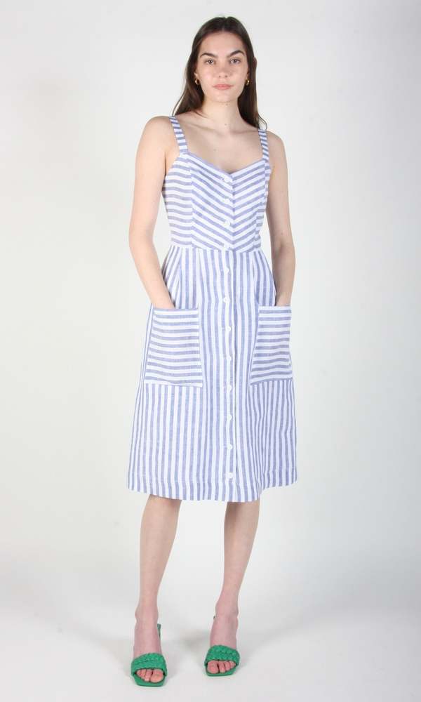 Birds of North America Vesper Sparrow Dress - Royal Stripe
