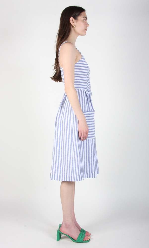 Birds of North America Vesper Sparrow Dress - Royal Stripe