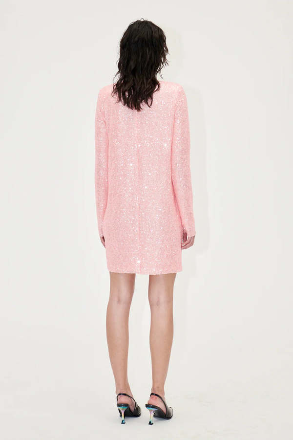 stine goya pink sequin dress Amazon.com: Stine Goya Women's Tamar Dress, Impressionist Wild Rose Bloom,  Pink, Metallic, L : Clothing, Shoes & Jewelry