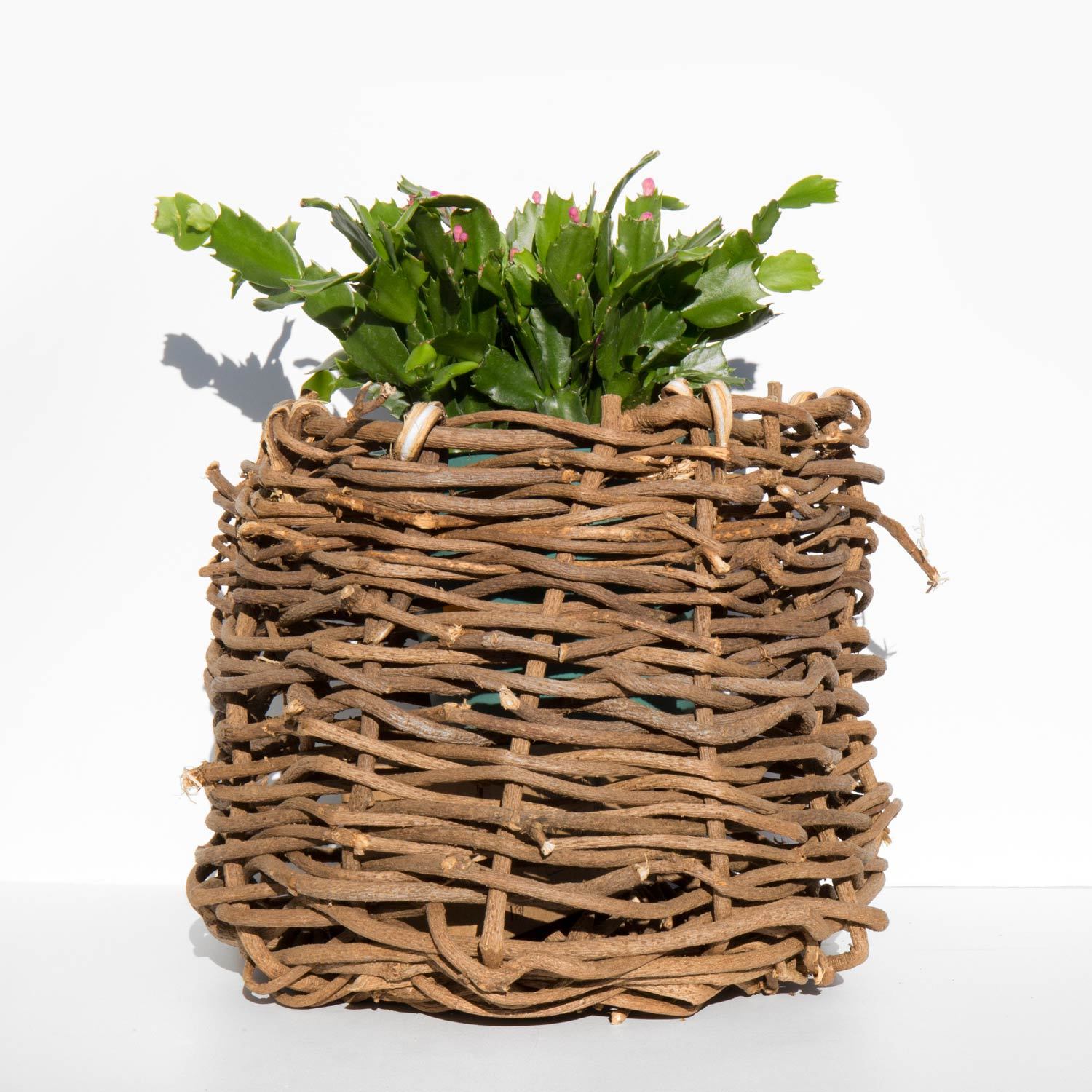 Found By Kindred Black Alabama Kudzu Vine Basket Garmentory