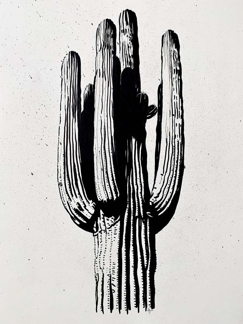 Phoenix General Original Art - Hand Drawn Saguaro Phoenix General Original Art - Hand Drawn Saguaro