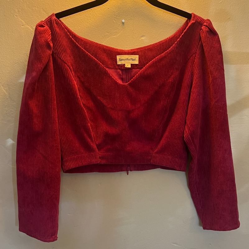 Samantha Pleet Mirror Mirror Top