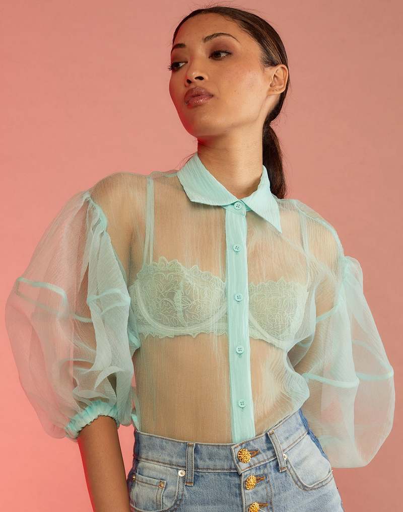 sheer top blouse