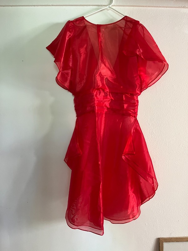 Kahle Drop-waist Sheer Dress | Garmentory