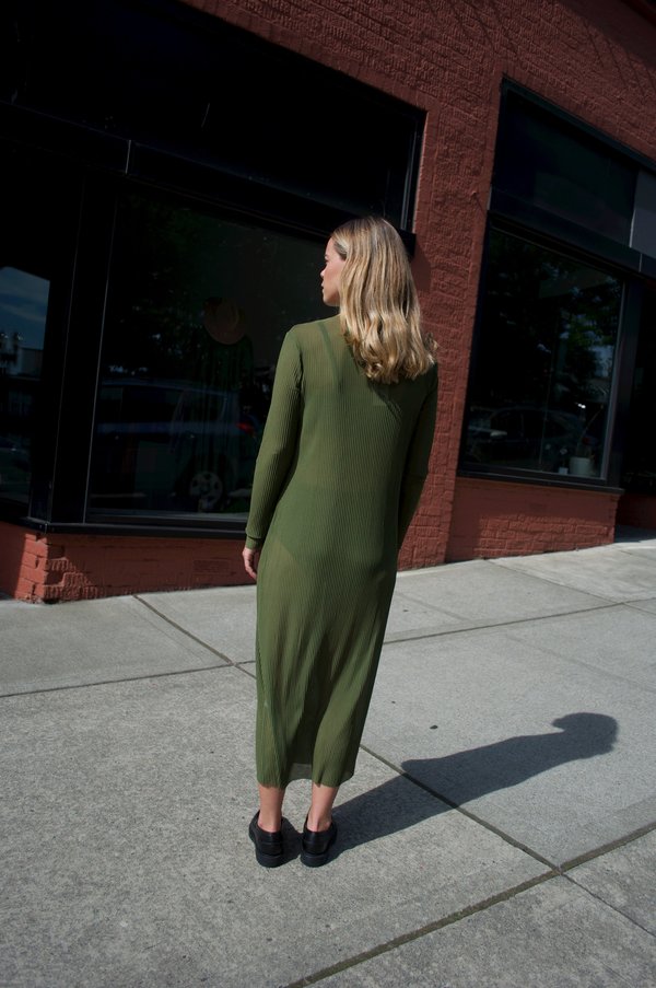 Ali Golden Pleated Mesh Dress - Olive | Garmentory