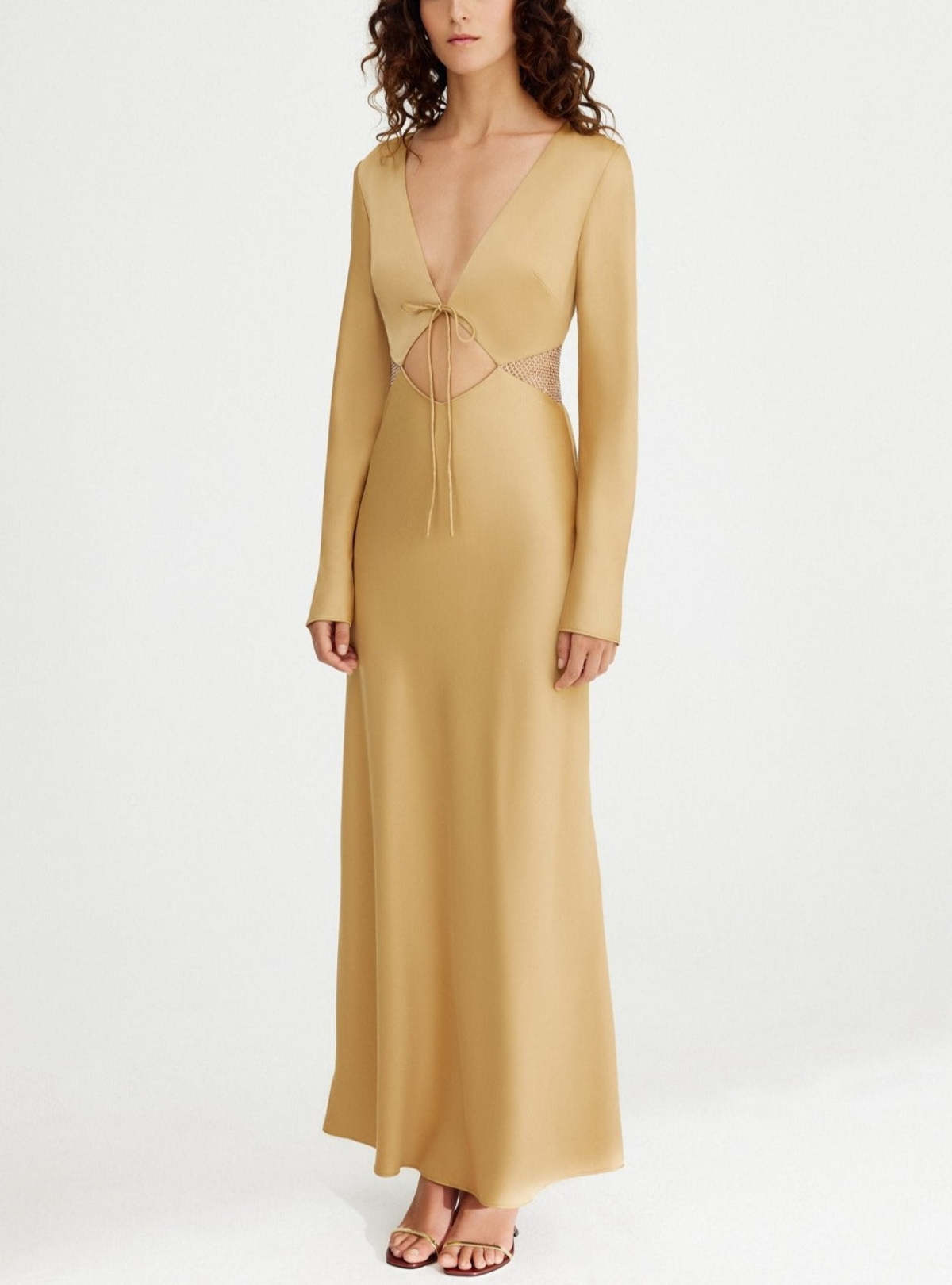 Gold-Elodie-Mesh-Cutout-Dress-