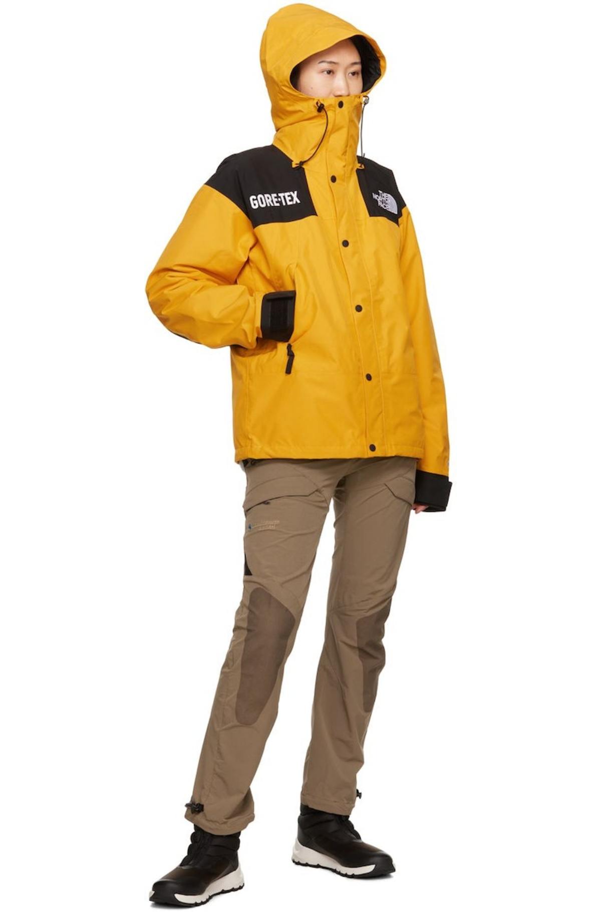 ジャケット・ブルゾン THE NORTH FACE MOUNTAIN JACKET NPJ61805 The North Face Men's GORE-TEX Mountain Jacket | Dick's
