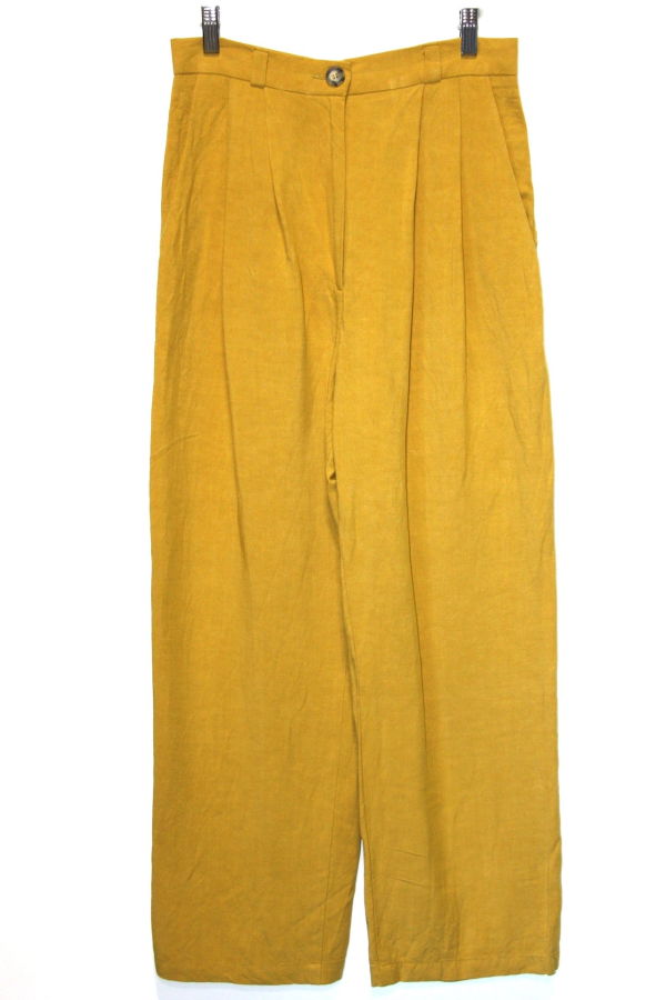 Birds of North America  Cinclodes Pant - Ochre