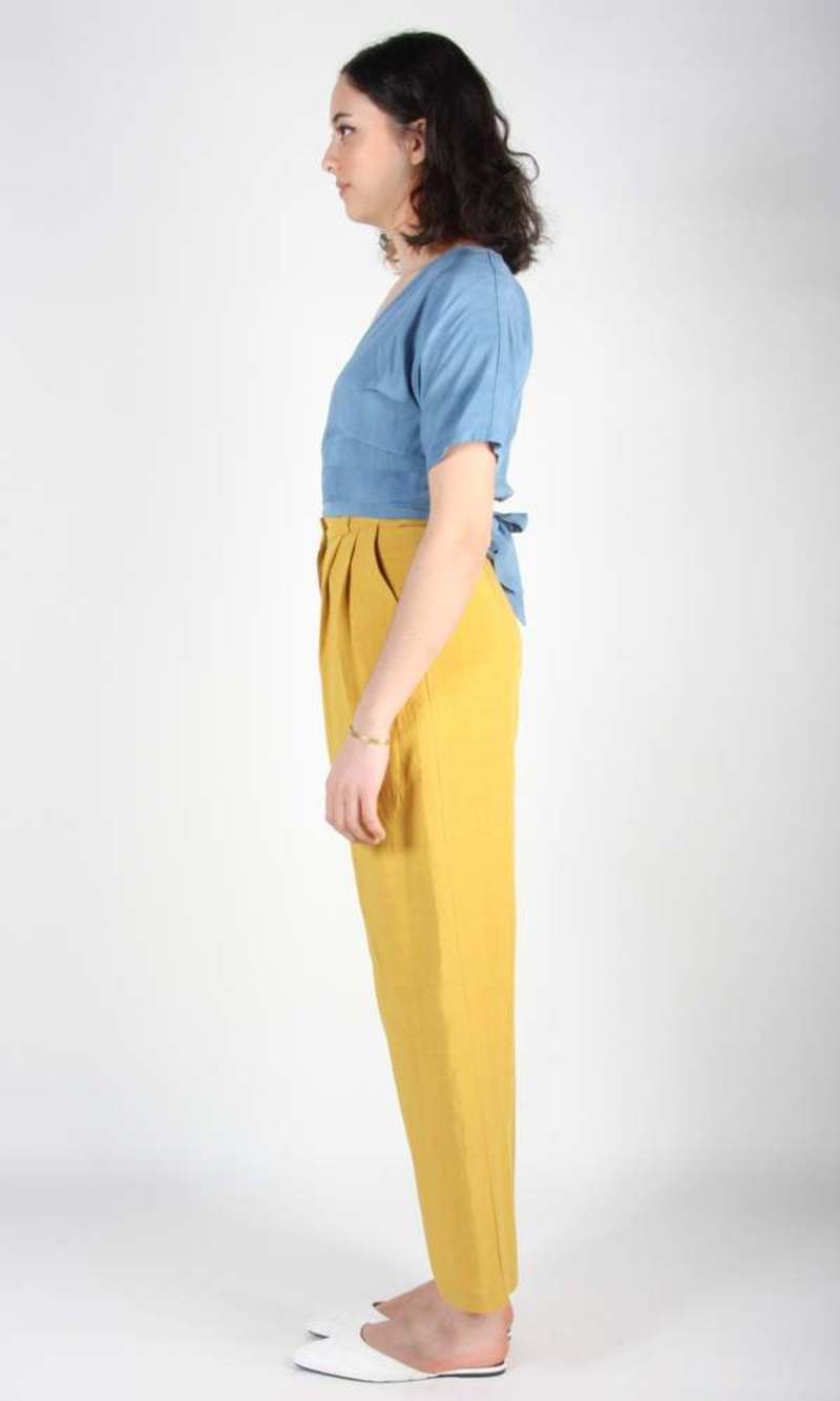 Birds of North America  Cinclodes Pant - Ochre