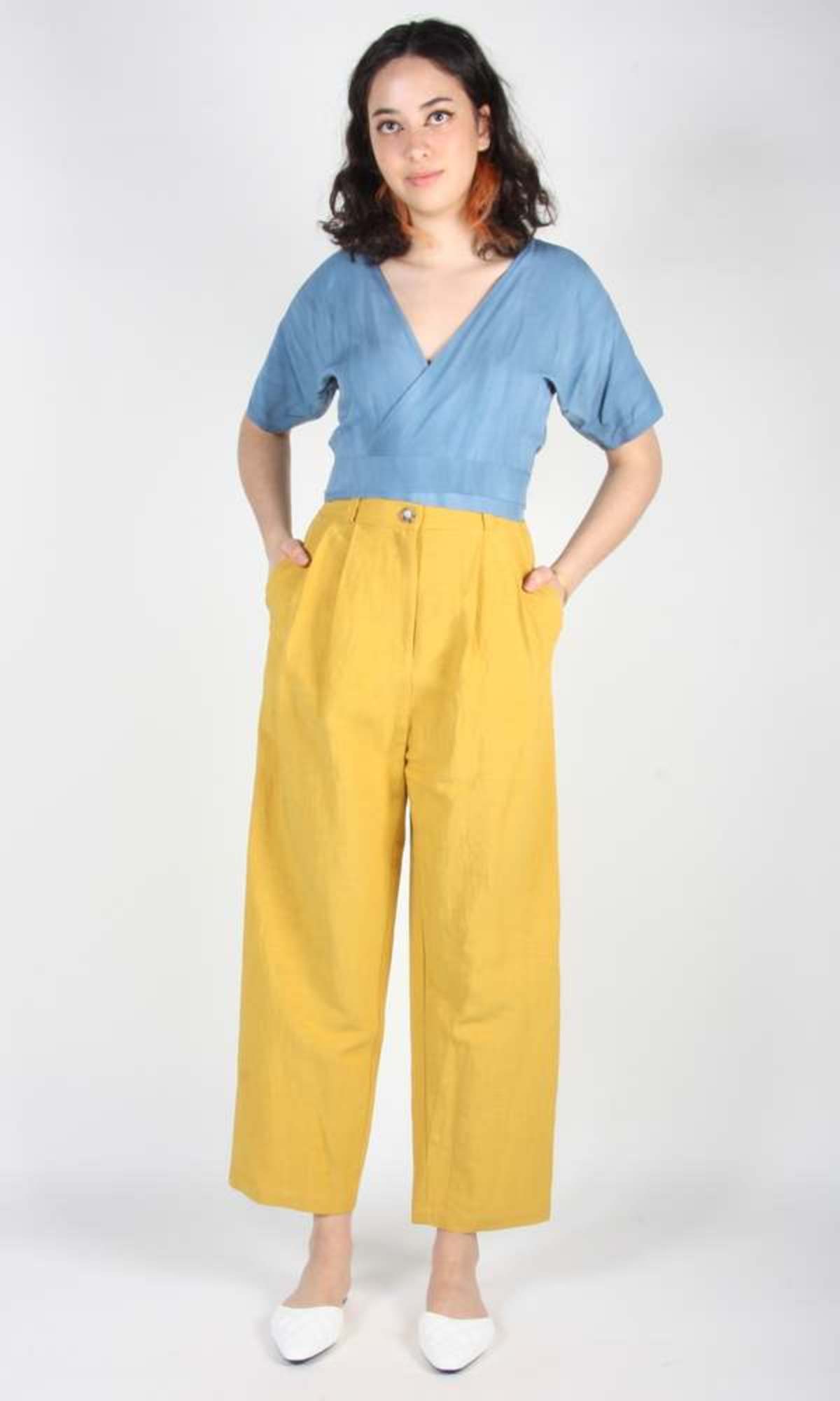 Birds of North America  Cinclodes Pant - Ochre - Image 4 of 5