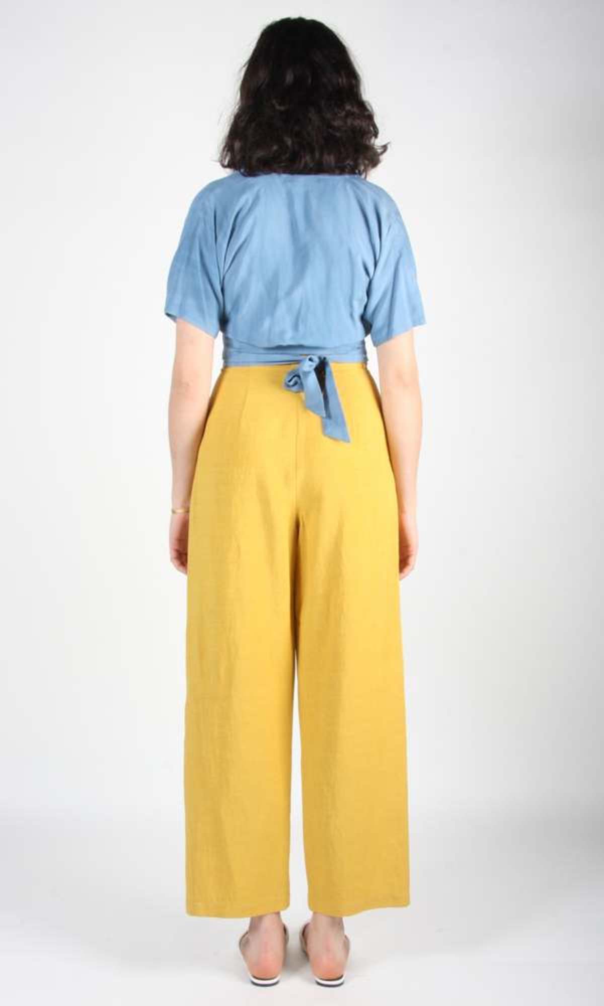 Birds of North America  Cinclodes Pant - Ochre - Image 5 of 5