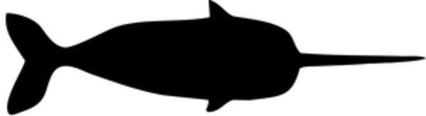 The-narwhal-toronto-on-logo-1445370729
