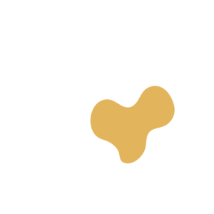 0dae14a9-placeholder-1769997072