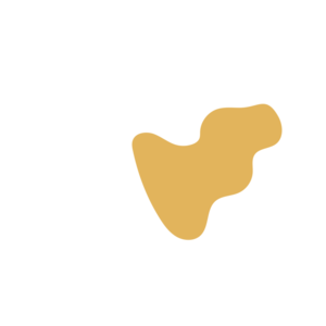 Febfa0e1-placeholder-1770094743