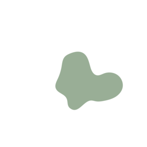 C2773f4f-placeholder-1769762739