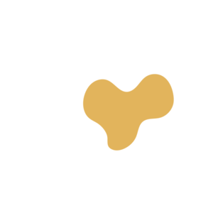 A9c6d65b-placeholder-1770024238