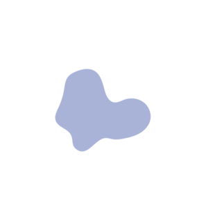 B5e506b5-placeholder-1770023716